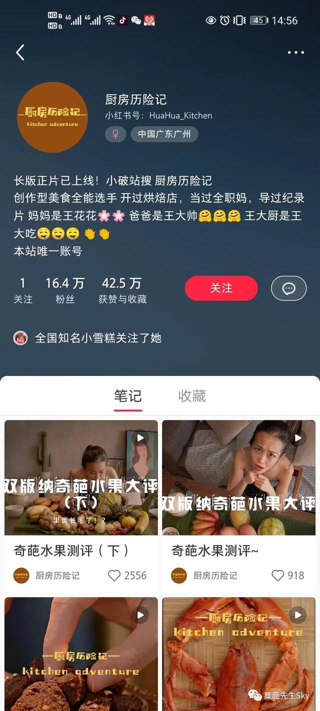 如何在小红书上快速涨粉？小红书怎么涨粉到500？