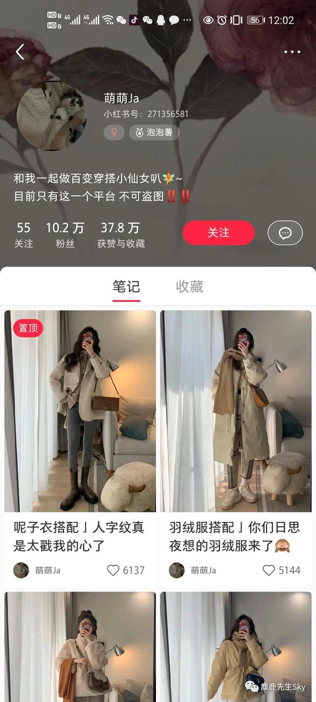 如何在小红书上快速涨粉？小红书怎么涨粉到500？